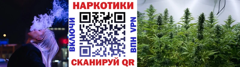 Наркошоп купить Гашиш  Конопля  Галлюциногенные грибы  Мефедрон  A PVP  АМФ  Мурино