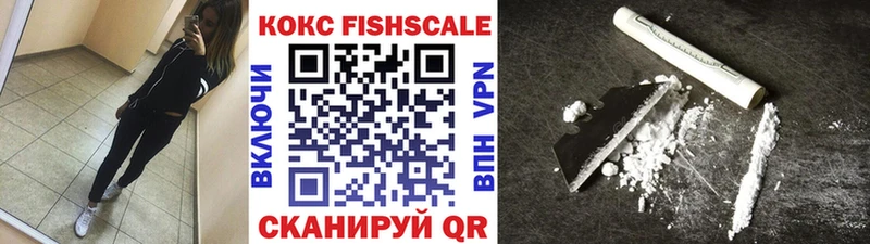 Кокаин Fish Scale  Купить закладки  Мурино 