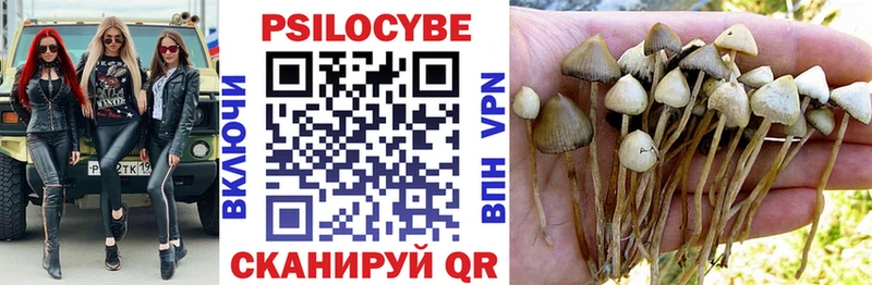 Галлюциногенные грибы Magic Shrooms  Купить закладки  Мурино 